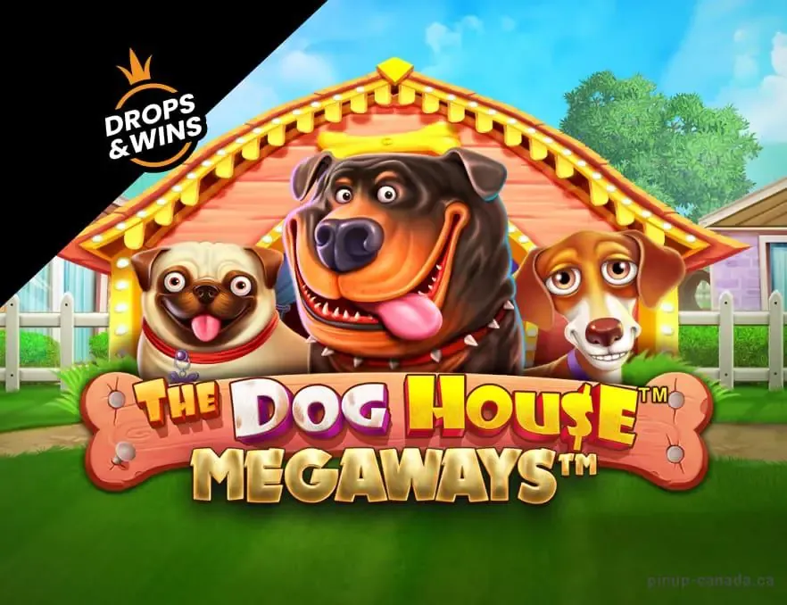 Sliotán The Dog House Megaways